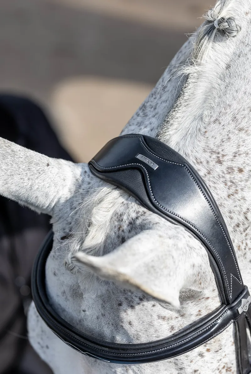 LeMieux Competition Flash Bridle in Black-3